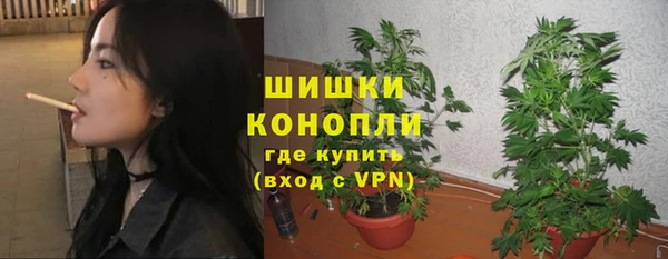 круглые Болотное