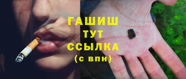 гидра Новозыбков