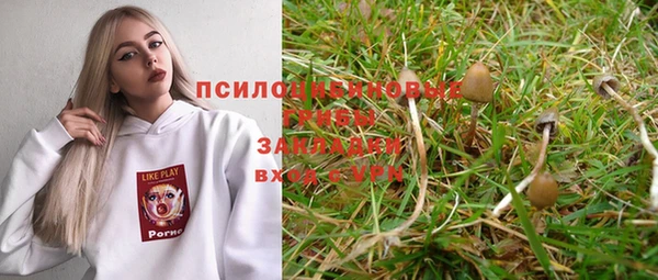 бошки Болхов