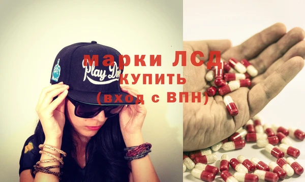 гидра Новозыбков