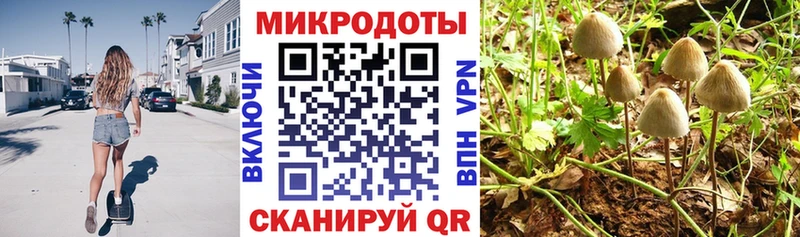 Псилоцибиновые грибы Magic Shrooms  Боровск 