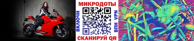 Псилоцибиновые грибы Psilocybine cubensis Боровск